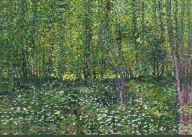 Van Gogh - Trees and undergrowth