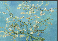 Vincent van Gogh - Blossoming Almond Tree