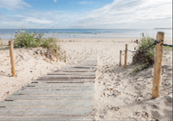 Beach Path