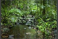Mossman River
